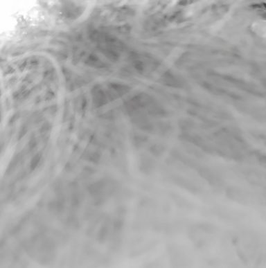 haar und haut
