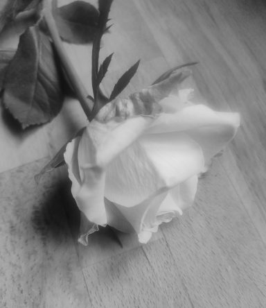 la vie en rose